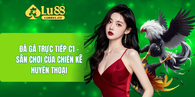 đá gà trực tiếp C1